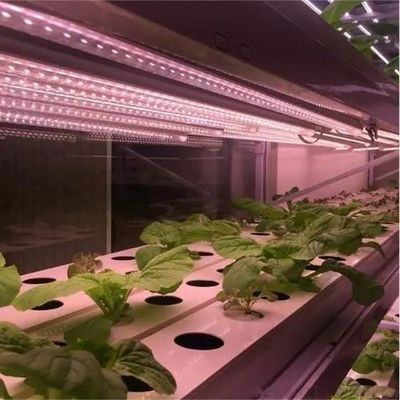 Invernadero de iluminación controlada por rociador de agua de doble capa para soluciones de plantación