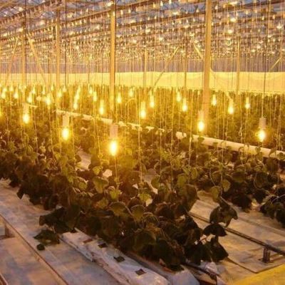 Invernadero de iluminación controlada por rociador de agua de doble capa para soluciones de plantación