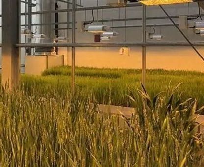 Invernadero de iluminación controlada por rociador de agua de doble capa para soluciones de plantación