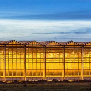 Capa de vidrio JX-GG-12 Instalación de siembra hidropónica sombreada Invernadero iluminado por Juxiang
