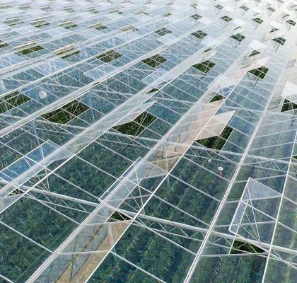 Método de cultivo hidropónico calefacción comercial jardín invernadero de vidrio para plantas