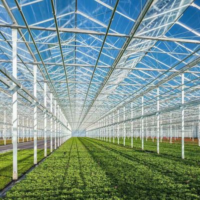 Método de cultivo hidropónico calefacción comercial jardín invernadero de vidrio para plantas