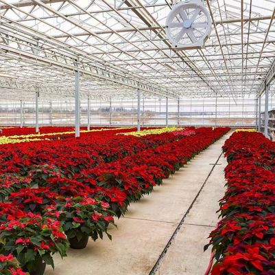 Método de cultivo hidropónico calefacción comercial jardín invernadero de vidrio para plantas