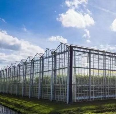 Método de cultivo hidropónico calefacción comercial jardín invernadero de vidrio para plantas