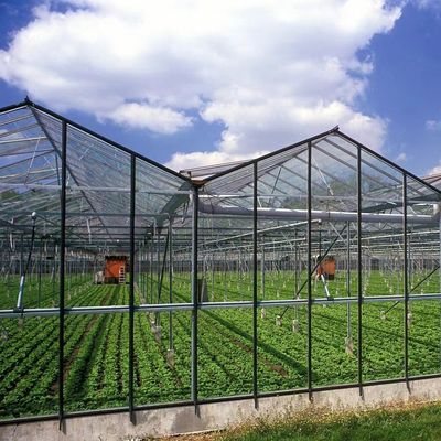 Método de cultivo hidropónico calefacción comercial jardín invernadero de vidrio para plantas
