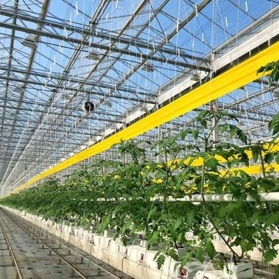 Invernadero de vidrio de precio razonable para la producción de vegetales de gran tamaño y de gran tamaño