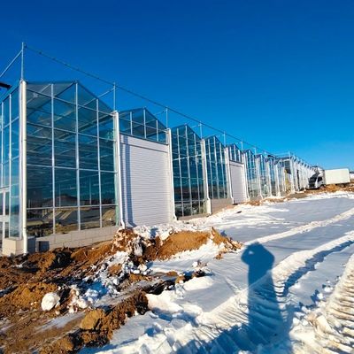 Invernadero de vidrio de precio razonable para la producción de vegetales de gran tamaño y de gran tamaño