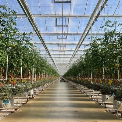 Invernadero de vidrio Ju Xiang con techo tipo Costo de envío y tiempo de entrega estimado