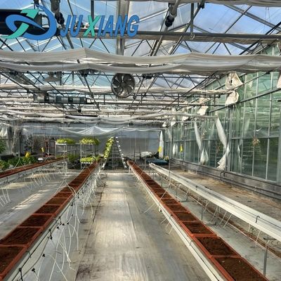 Invernadero de vidrio Ju Xiang con techo tipo Costo de envío y tiempo de entrega estimado