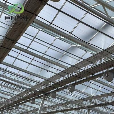 Hojas verdes Verduras de amplia extensión Invernadero agrícola con piezas de aluminio personalizadas