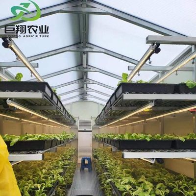 Invernadero de vidrio JX personalizado 2023 Equipo agrícola Juxiang con sistema de enfriamiento