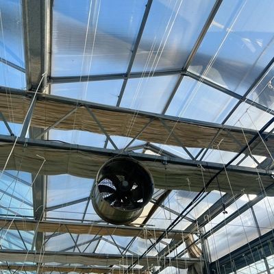 Estructura de acero Riego por goteo Invernadero de vidrio para plantas Techo en forma de techo tipo