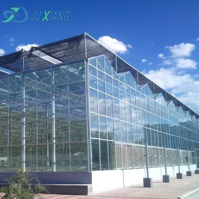 Estructura de acero Riego por goteo Invernadero de vidrio para plantas Techo en forma de techo tipo