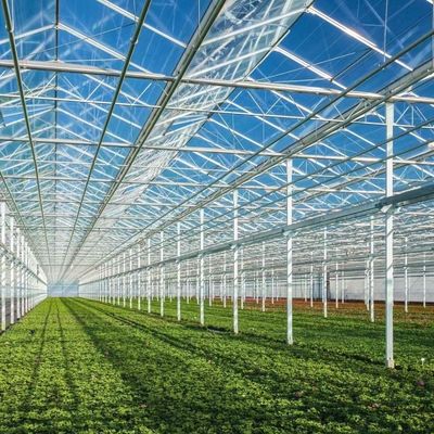 EE.UU. 20/m2 Invernadero de vidrio Ju Xiang para el cultivo de verduras Pago completo