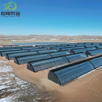 Techo con forma de arco JX-Arch Greenhouse para el cultivo hidropónico de tomate y fresa