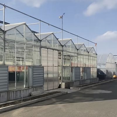 Invernadero de vidrio de una sola capa para la horticultura adaptado a sus necesidades