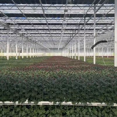 Canopy de invernadero de origen chino de vidrio para flores 30 días de retorno 100.000kg de peso bruto