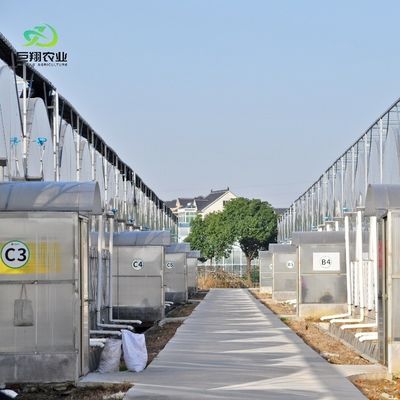 8m 9,6m 12m Film de estiramiento personalizado de plástico Agricultura con sistema de cultivo hidropónico