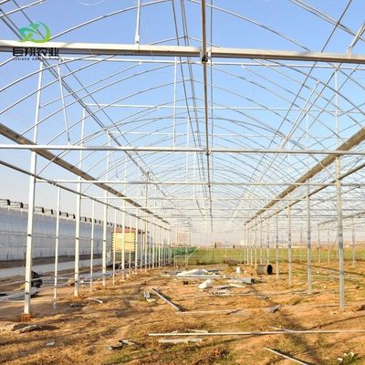 8m 9,6m 12m Film de estiramiento personalizado de plástico Agricultura con sistema de cultivo hidropónico
