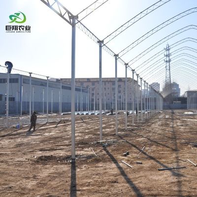 8m 9,6m 12m Film de estiramiento personalizado de plástico Agricultura con sistema de cultivo hidropónico