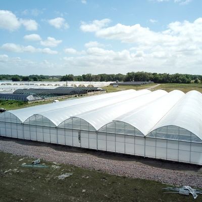 8m 9,6m 12m Film de estiramiento personalizado de plástico Agricultura con sistema de cultivo hidropónico