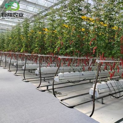 Invernadero de jardín de vidrio con marco de aluminio Invernadero comercial victoriano para verduras