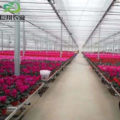 Invernadero de jardín de vidrio con marco de aluminio Invernadero comercial victoriano para verduras