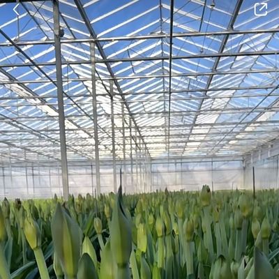 Invernadero de vidrio flotante para el cultivo de plantas Paquete Tamaño 50.00cm * 60.00cm * 80.00cm