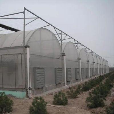 Sistema de riego hidropónico para fresas, flores y verduras