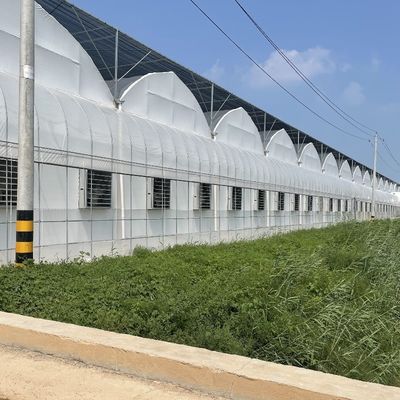 Sistema de riego hidropónico para fresas, flores y verduras