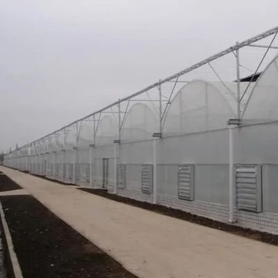 Sistema de riego hidropónico para fresas, flores y verduras