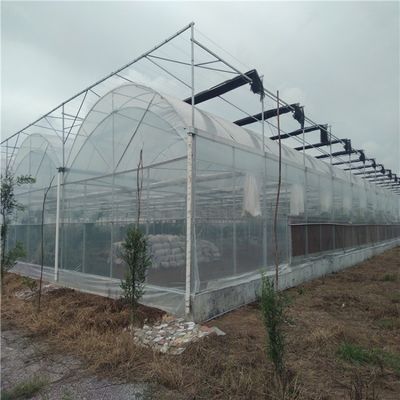 Sistema de riego hidropónico para fresas, flores y verduras
