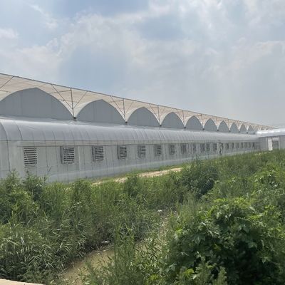 Sistema de riego hidropónico para fresas, flores y verduras