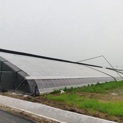 Estructura de tubería de acero galvanizado en caliente para sistemas hidropónicos y cultivos diversos