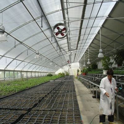 Estructura de tubería de acero galvanizado en caliente para sistemas hidropónicos y cultivos diversos