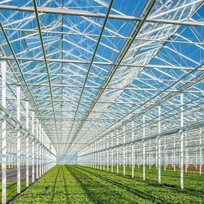 Invernadero de luz solar, hidroponía multispans, invernadero de película de plástico para explotación agrícola comercial