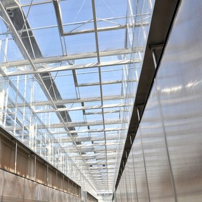 Invernadero de luz solar, hidroponía multispans, invernadero de película de plástico para explotación agrícola comercial