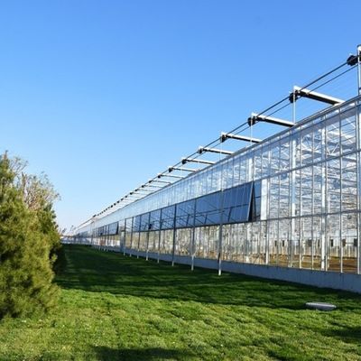 Invernadero de luz solar, hidroponía multispans, invernadero de película de plástico para explotación agrícola comercial