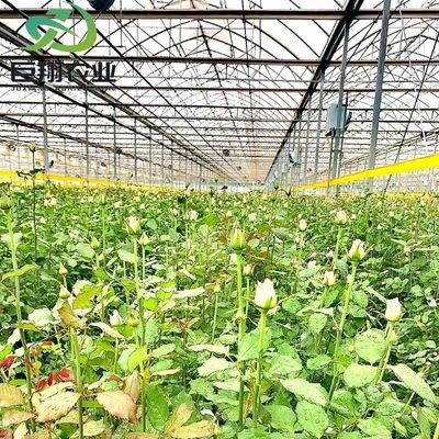 Hidropónicos de película de plástico para invernaderos agrícolas para granjas comerciales