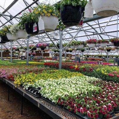 Hidropónicos de película de plástico para invernaderos agrícolas para granjas comerciales