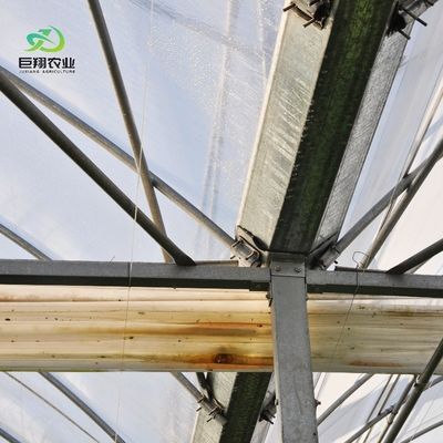 Invernadero agrícola con techo arqueado, hidroponía de película de plástico para granjas comerciales