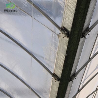 Invernadero agrícola con techo arqueado, hidroponía de película de plástico para granjas comerciales