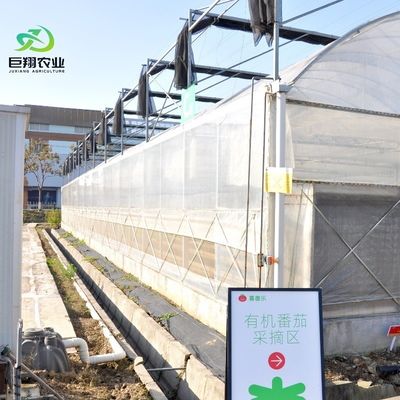 Invernadero agrícola con techo arqueado, hidroponía de película de plástico para granjas comerciales