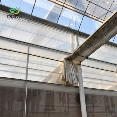Invernadero agrícola con techo arqueado, hidroponía de película de plástico para granjas comerciales