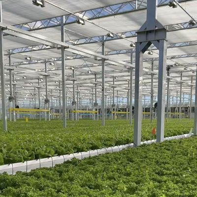Oasis de invernadero de vidrio grande Solución respetuosa con el medio ambiente para soluciones de cultivo de plantas