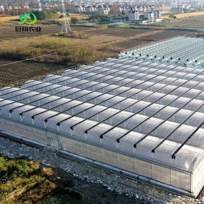 Invernadero con techo PE para vegetales, tomates, pepinos, fresas, versátiles y personalizables