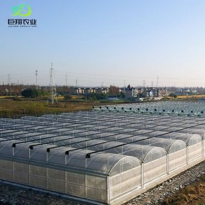Invernadero con techo PE para vegetales, tomates, pepinos, fresas, versátiles y personalizables