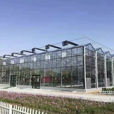 Canopy de invernadero de doble capa con buena transmisión de la luz y función Multi Span
