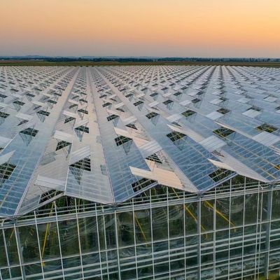 Canopy de invernadero de doble capa con buena transmisión de la luz y función Multi Span