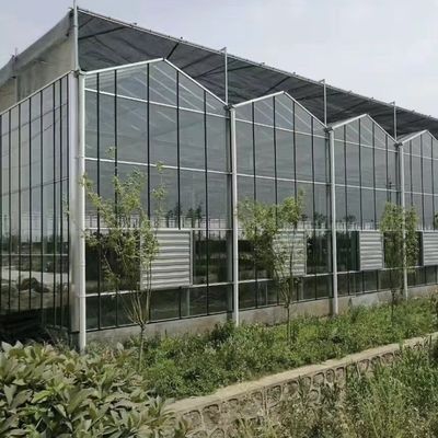 Canopy de invernadero de doble capa con buena transmisión de la luz y función Multi Span